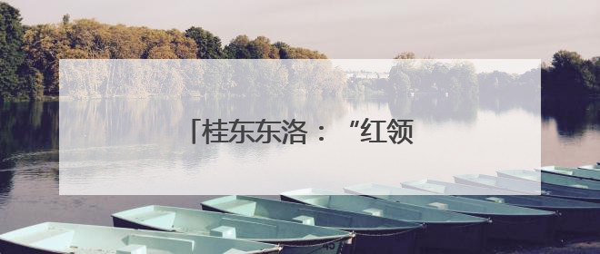 桂东东洛：“红领雁”领航百业兴