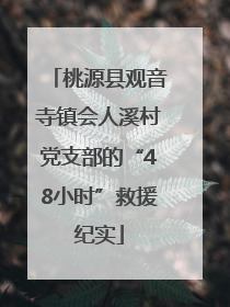 桃源县观音寺镇会人溪村党支部的“48小时”救援纪实