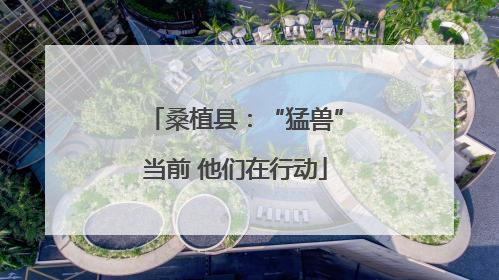 桑植县：“猛兽”当前 他们在行动