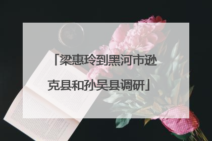 梁惠玲到黑河市逊克县和孙吴县调研