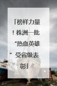 榜样力量！株洲一批“热血英雄”受省级表彰