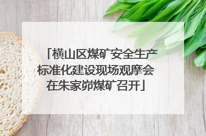 横山区煤矿安全生产标准化建设现场观摩会在朱家峁煤矿召开