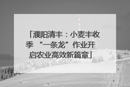 濮阳清丰：小麦丰收季 “一条龙”作业开启农业高效新篇章