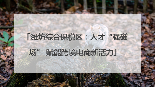 潍坊综合保税区：人才“强磁场” 赋能跨境电商新活力