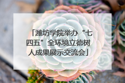 潍坊学院举办“七四五”全环境立德树人成果展示交流会