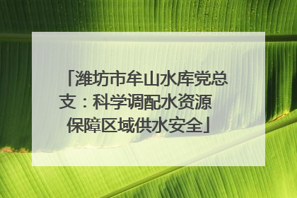 潍坊市牟山水库党总支：科学调配水资源 保障区域供水安全