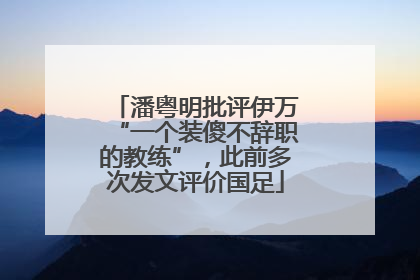 潘粤明批评伊万“一个装傻不辞职的教练”，此前多次发文评价国足