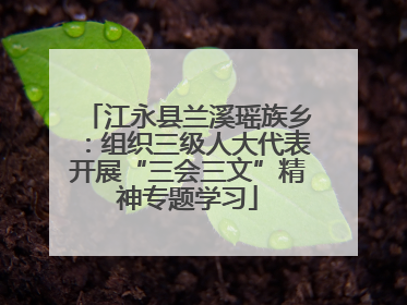 江永县兰溪瑶族乡：组织三级人大代表开展“三会三文”精神专题学习
