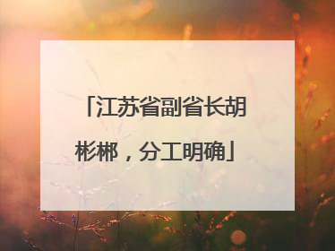 江苏省副省长胡彬郴，分工明确