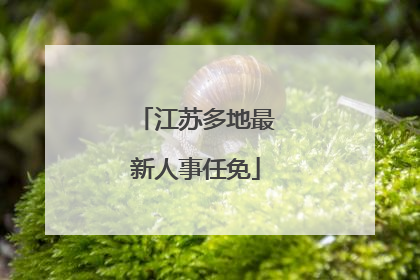 江苏多地最新人事任免