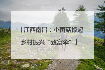 江西南昌：小菌菇撑起乡村振兴“致富伞”