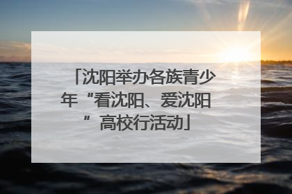 沈阳举办各族青少年“看沈阳、爱沈阳”高校行活动