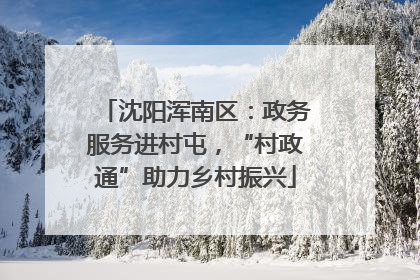 沈阳浑南区：政务服务进村屯，“村政通”助力乡村振兴