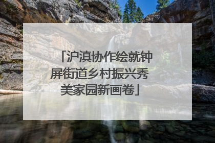 沪滇协作绘就钟屏街道乡村振兴秀美家园新画卷