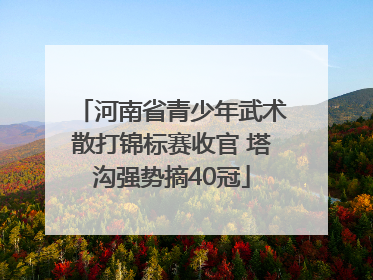 河南省青少年武术散打锦标赛收官 塔沟强势摘40冠