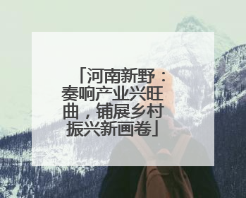河南新野：奏响产业兴旺曲，铺展乡村振兴新画卷