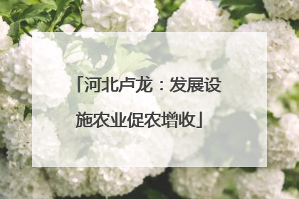 河北卢龙：发展设施农业促农增收