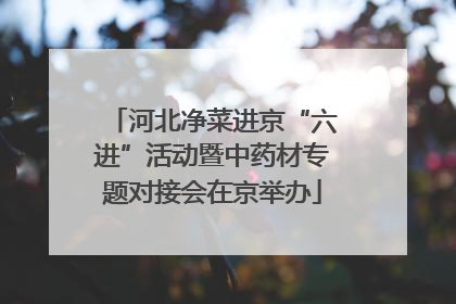 河北净菜进京“六进”活动暨中药材专题对接会在京举办