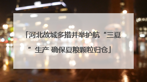 河北故城多措并举护航“三夏”生产 确保夏粮颗粒归仓