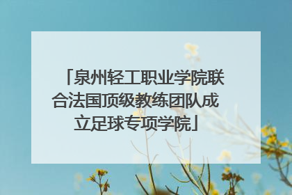 泉州轻工职业学院联合法国顶级教练团队成立足球专项学院