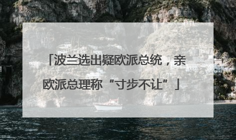 波兰选出疑欧派总统，亲欧派总理称“寸步不让”