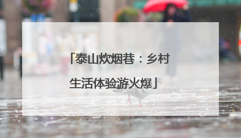 泰山炊烟巷：乡村生活体验游火爆