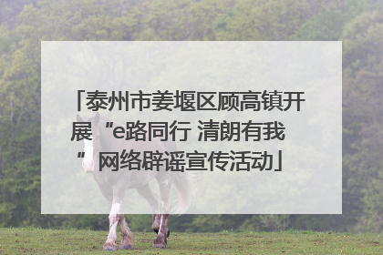 泰州市姜堰区顾高镇开展“e路同行 清朗有我”网络辟谣宣传活动
