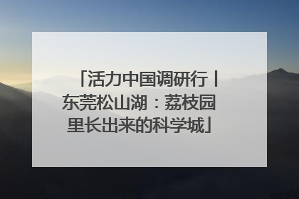 活力中国调研行丨东莞松山湖：荔枝园里长出来的科学城