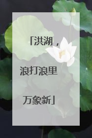 洪湖，浪打浪里万象新