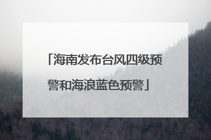 海南发布台风四级预警和海浪蓝色预警