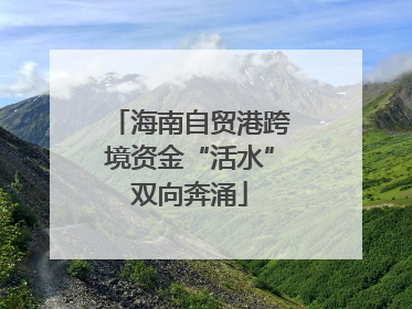 海南自贸港跨境资金“活水”双向奔涌