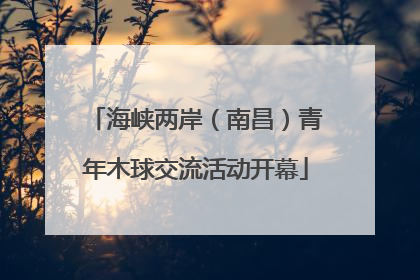 海峡两岸（南昌）青年木球交流活动开幕