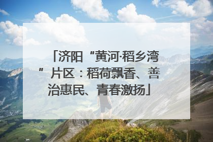 济阳“黄河·稻乡湾”片区：稻荷飘香、善治惠民、青春激扬