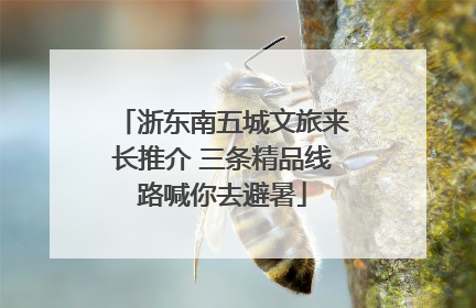 浙东南五城文旅来长推介 三条精品线路喊你去避暑