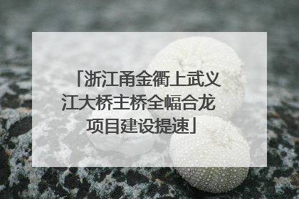 浙江甬金衢上武义江大桥主桥全幅合龙 项目建设提速