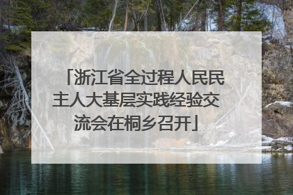 浙江省全过程人民民主人大基层实践经验交流会在桐乡召开