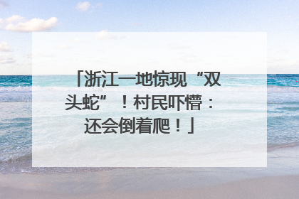 浙江一地惊现“双头蛇”！村民吓懵：还会倒着爬！