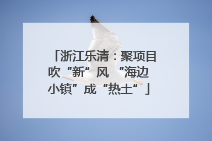浙江乐清：聚项目吹“新”风 “海边小镇”成“热土”