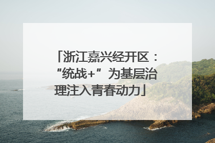 浙江嘉兴经开区：“统战+”为基层治理注入青春动力