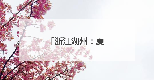 浙江湖州：夏日乡村旅游季