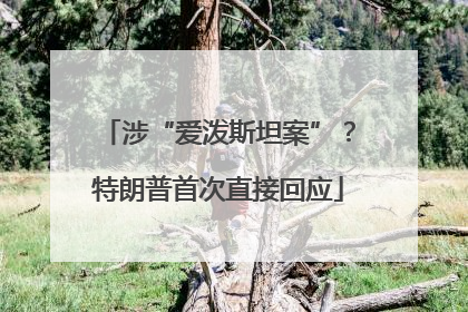 涉“爱泼斯坦案”？特朗普首次直接回应