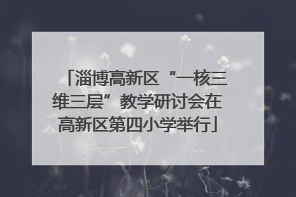 淄博高新区“一核三维三层”教学研讨会在高新区第四小学举行