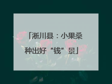 淅川县：小果桑种出好“钱”景