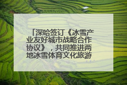 深哈签订《冰雪产业友好城市战略合作协议》，共同推进两地冰雪体育文化旅游高质量发展