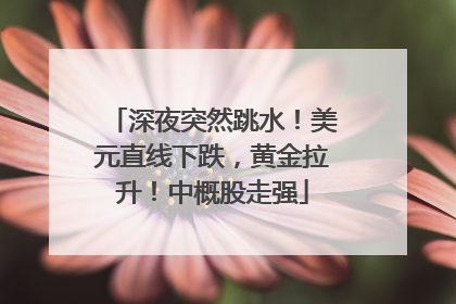 深夜突然跳水！美元直线下跌，黄金拉升！中概股走强