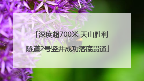 深度超700米 天山胜利隧道2号竖井成功落底贯通