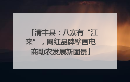 清丰县：八寨有“江来”，网红品牌擘画电商助农发展新图景