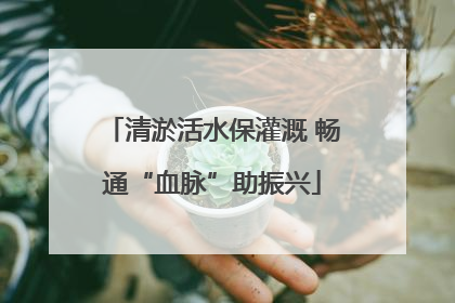 清淤活水保灌溉 畅通“血脉”助振兴