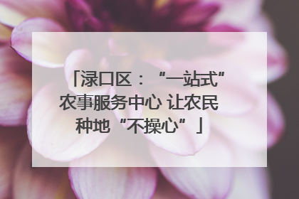 渌口区：“一站式”农事服务中心 让农民种地“不操心”