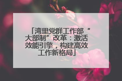 湾里党群工作部“大部制”改革：激活效能引擎，构建高效工作新格局